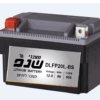 DLFP20L-BS מצבר ליתיום 12.8 וולט 96WH