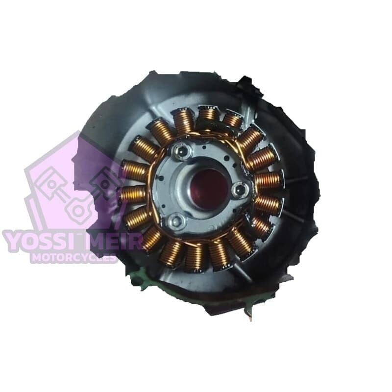 סלילים BMW GS 310