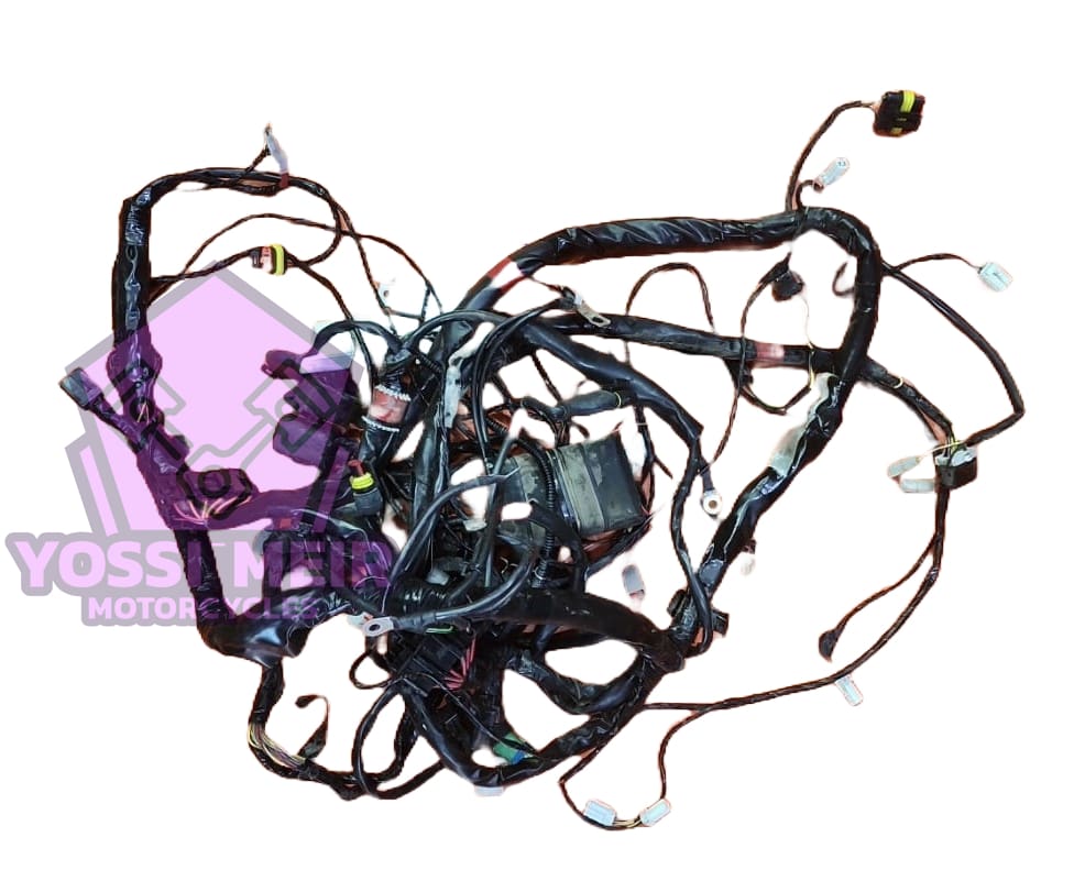 צמת חשמל פיאגו אקס איבו 250