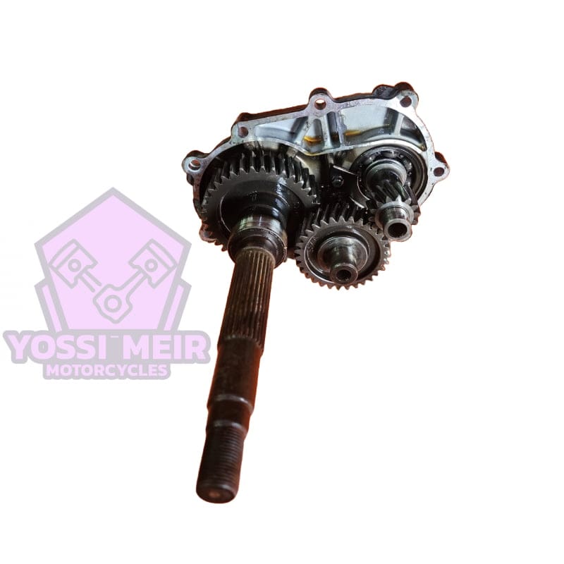 גיר מושלם סאן יאנג מקסים 600