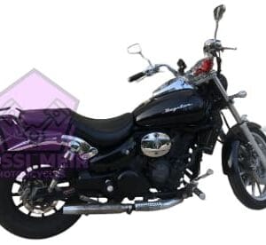 דיאלים דייסטאר 250