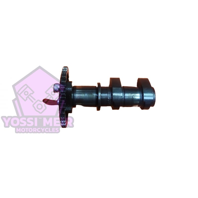 קאמשפט פליטה מושלמת קוואסאקי נינג'ה 250