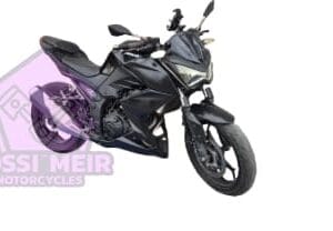 קוואסאקי z300