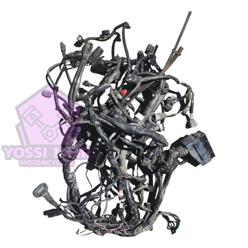 צמת חשמל הונדה XADV750 2022