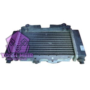 רדיאטור סאן יאנג גוירייד 125 2015