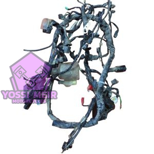 צמת חשמל פורזה 125 2023